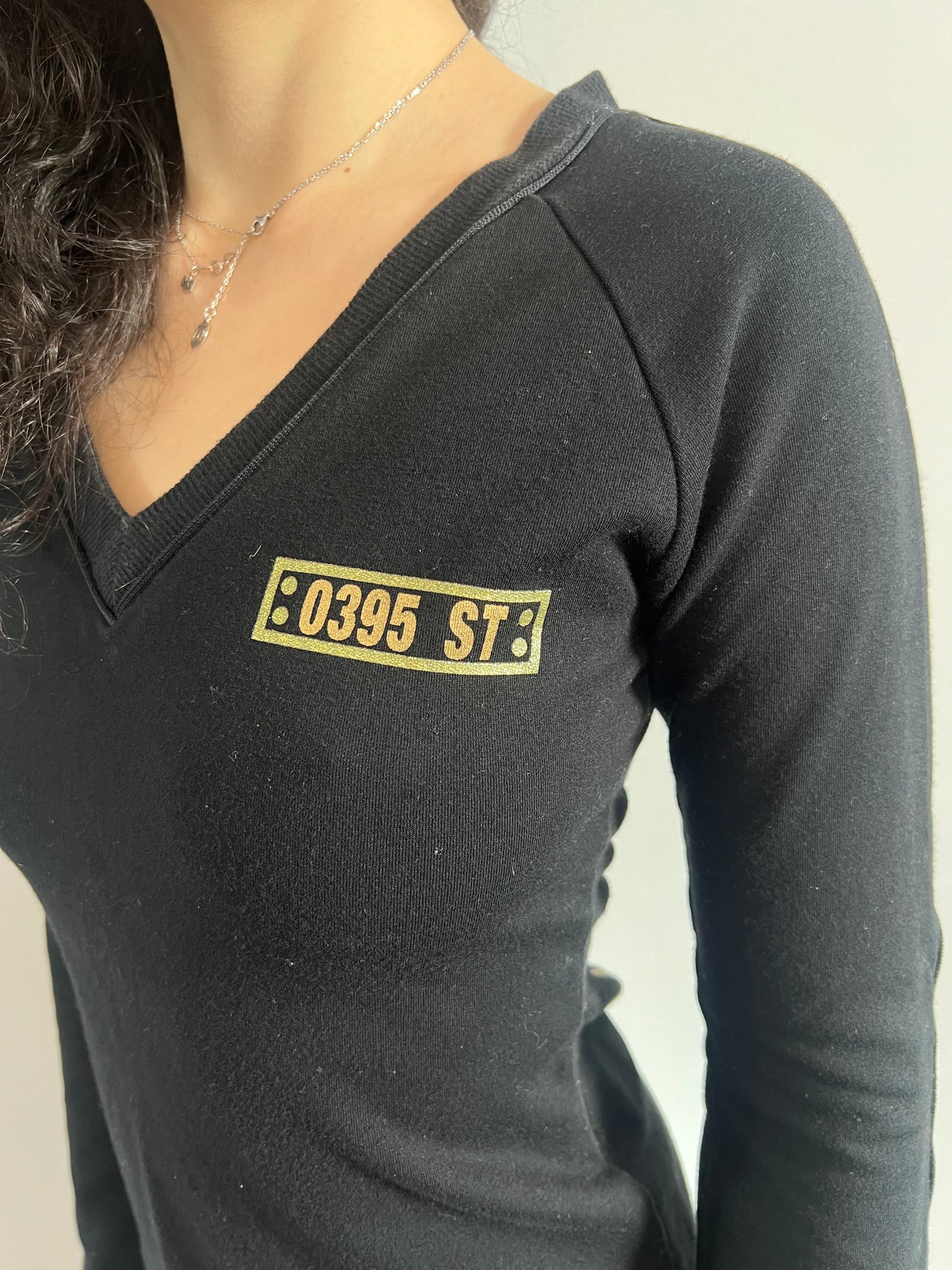 LB-03 “Hall Of Fame” Long Sleeve Top