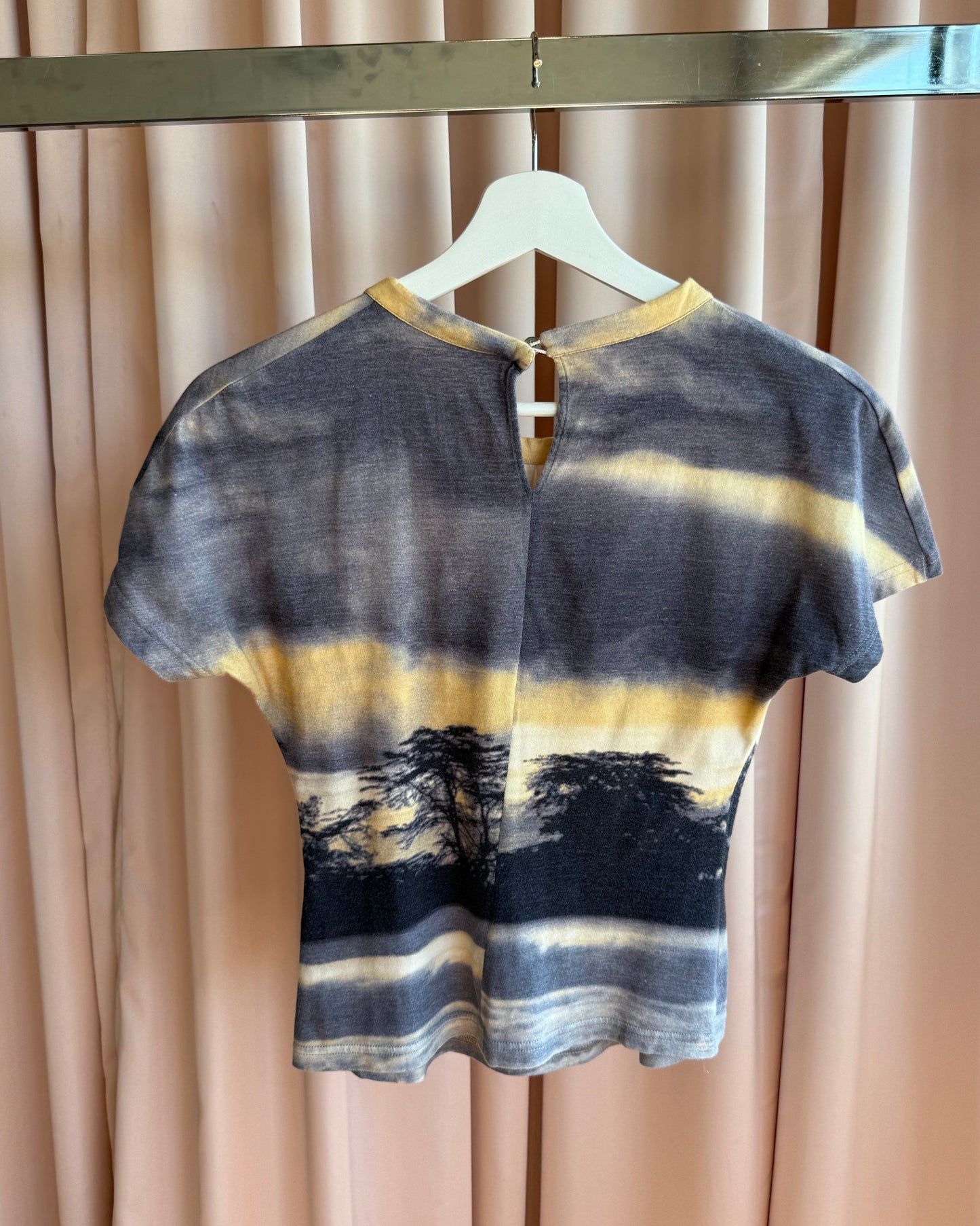 Alexander McQueen 1997-2002 Sunset Landscape Print Top