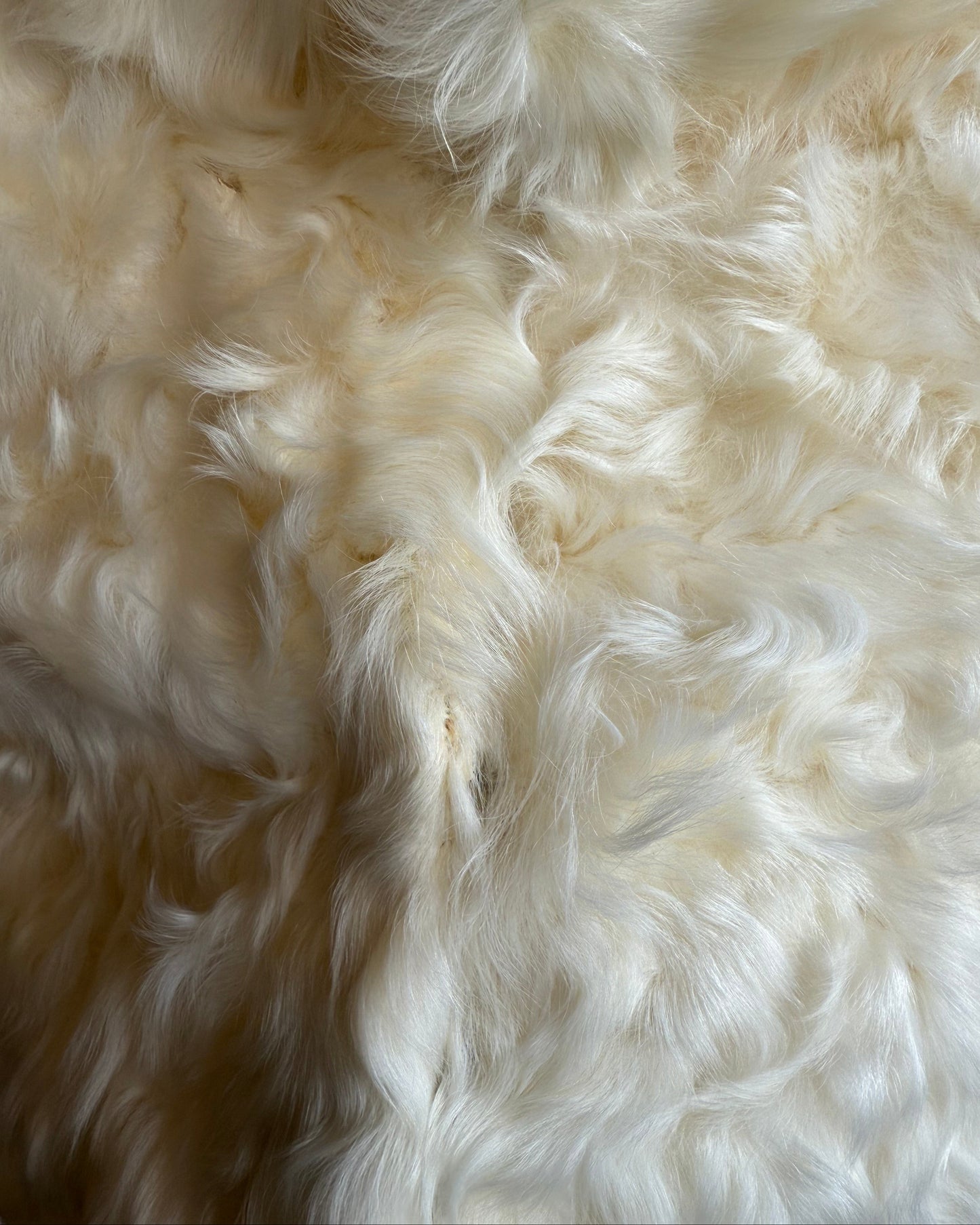 Japanese Brand Genuine Cream Lamb Fur Jacket