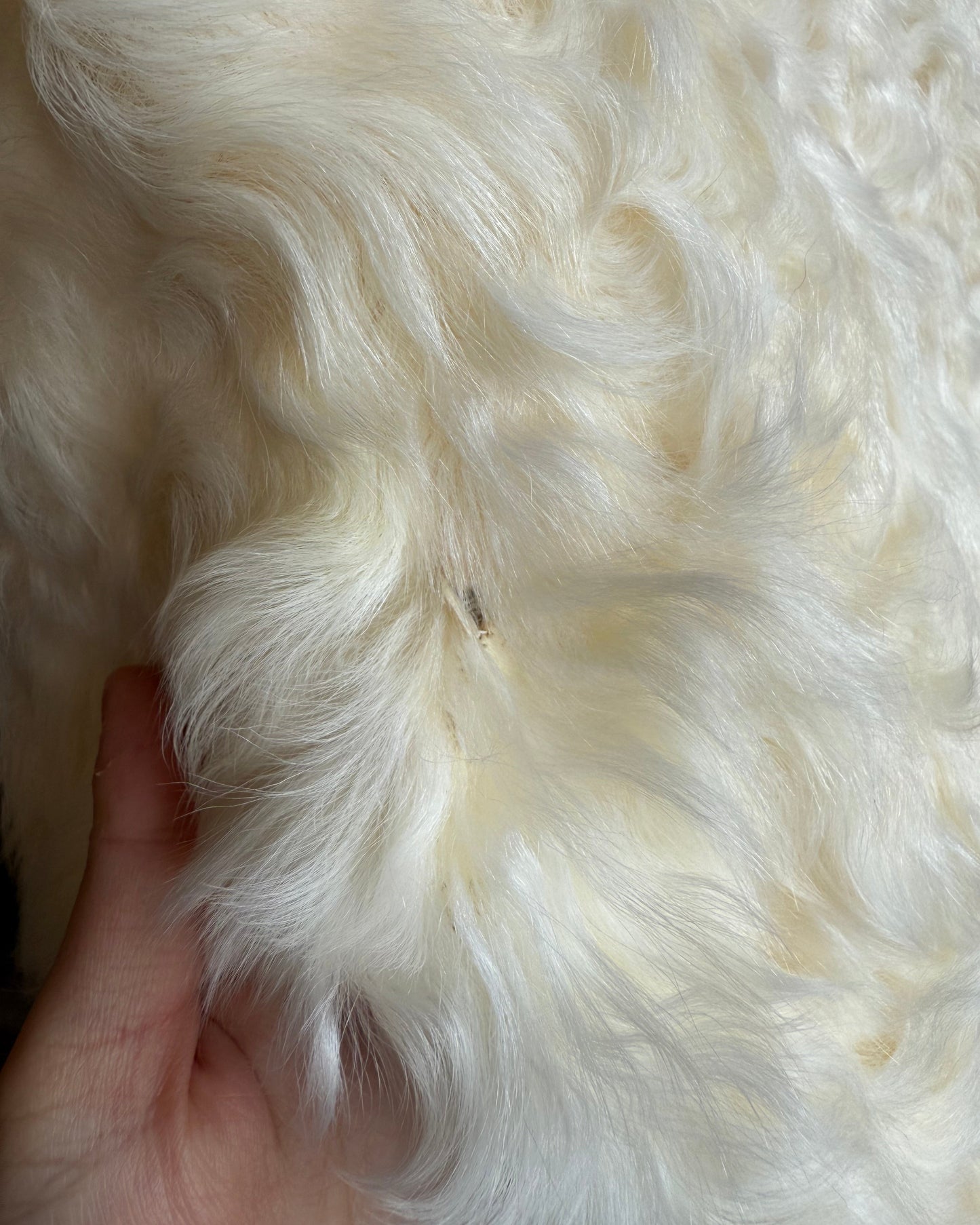 Japanese Brand Genuine Cream Lamb Fur Jacket