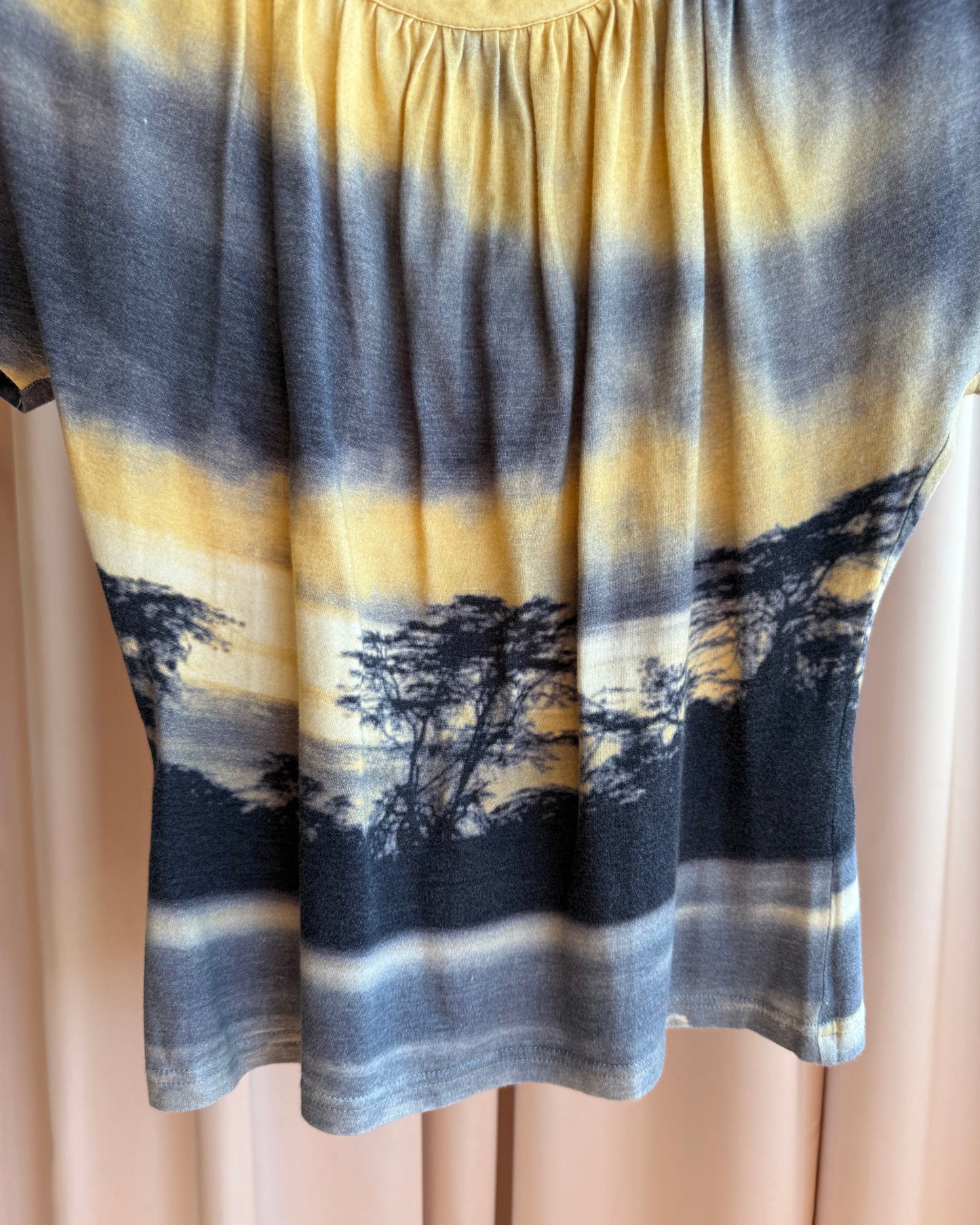 Alexander McQueen 1997-2002 Sunset Landscape Print Top